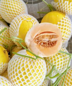 Dưa lưới Hoàng Kim