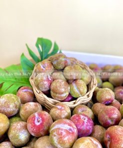 Mận Hậu Người H'mông