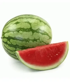 Dưa hấu không hạt